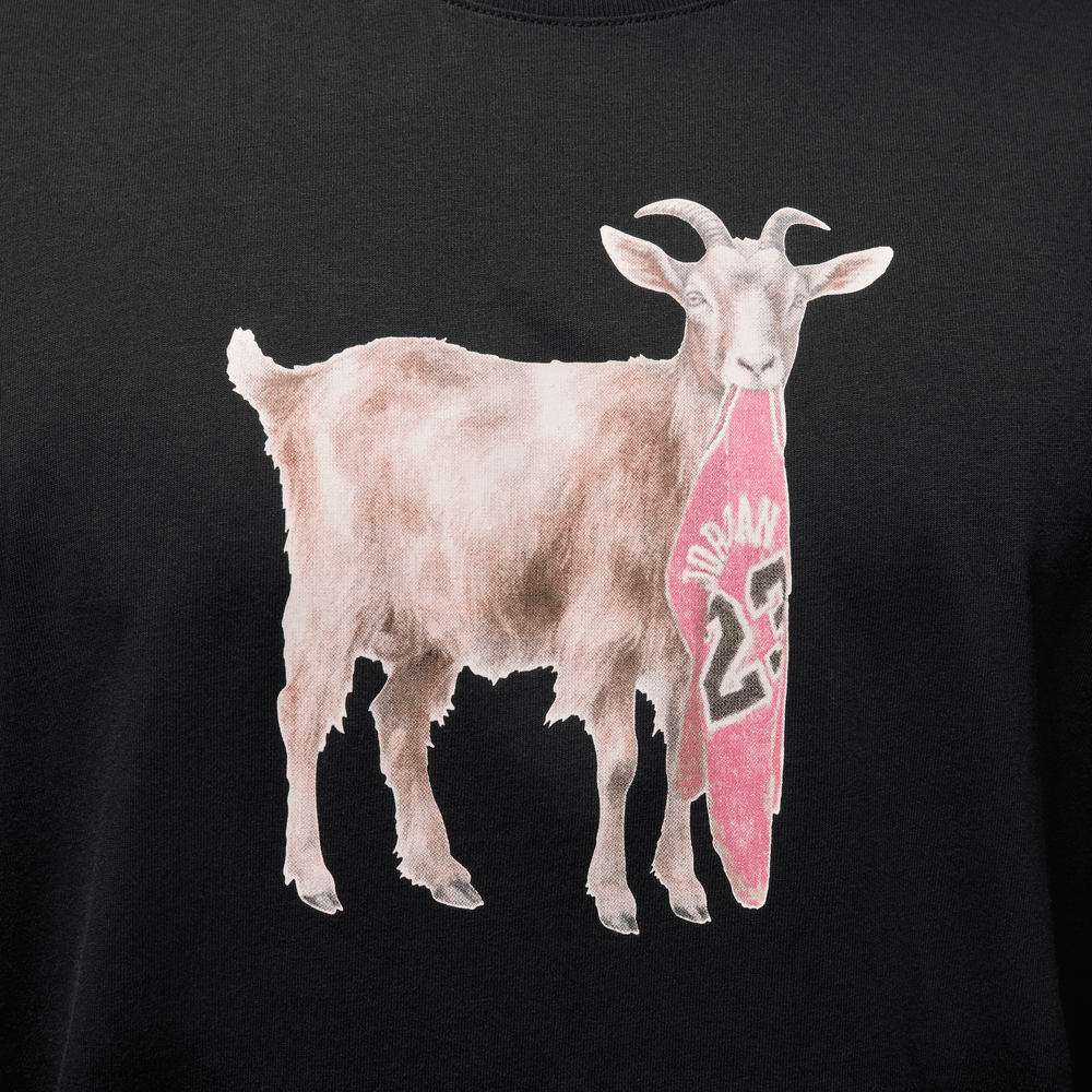 Air Jordan Tee FA25